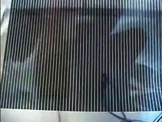 Animated Illusion, Solved!