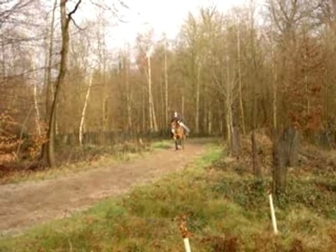 Balade 21.2.2007 => Galop allongé Nev