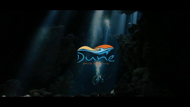 Croisière Plongée, Sud Egypte, St John's Reef, DUNE.