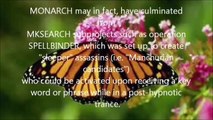 Proof: Monarch Mind Controlled Celebs (Illuminati & Butterflies)