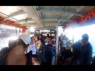 Curso de Biologia Marinha - IRV Educação Ambiental