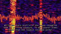 5-Mysterious sounds Ever Recorded