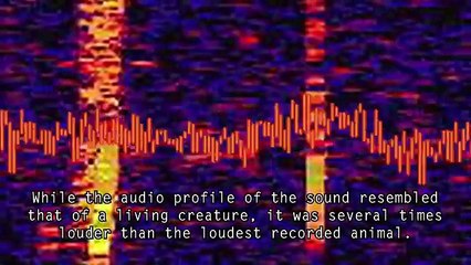 5-Mysterious sounds Ever Recorded