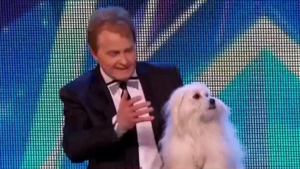 Chú Chó Biết...Nói và Hát - Britain's Got Talent 2015