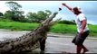 Crocodile And Man Encounters  SHOCKING Alligator Video!