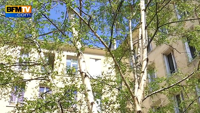 Pollens: risque allergique élevé dans de nombreux départements