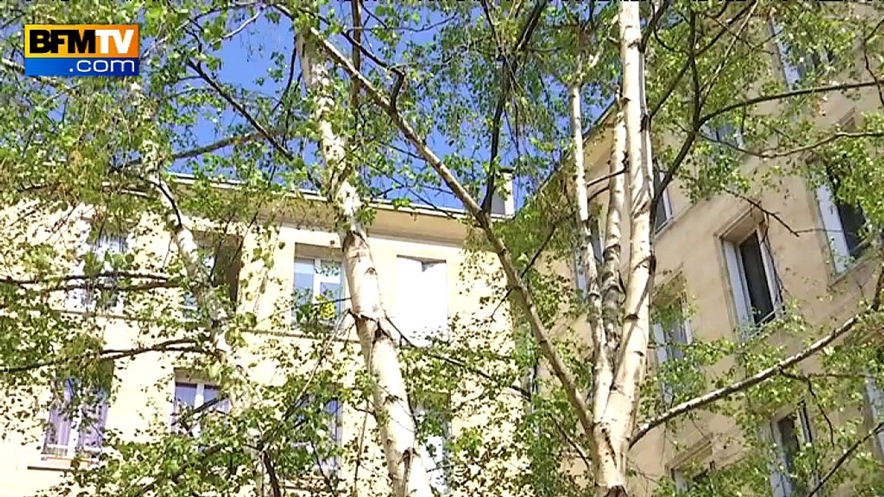 Pollens: risque allergique élevé dans de nombreux départements