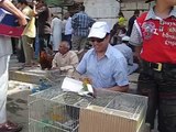 اكبر سوق في العالم لبيع الطيور والحيوانات