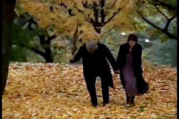 Century - Lover Why - Tradução