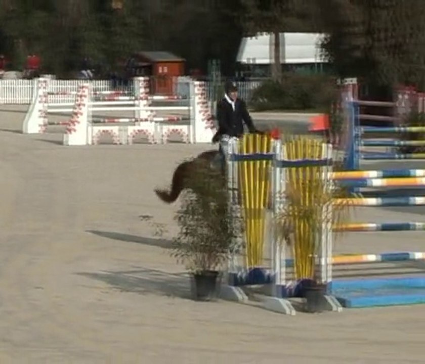 LAUDATOR étalon SF (Narcos II * Uriosa)