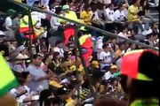 Crazy Hanshin Tigers Fans