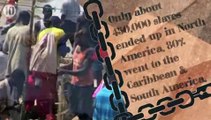 10 Shocking Facts About the Slave Trade - Brave Hd Zone