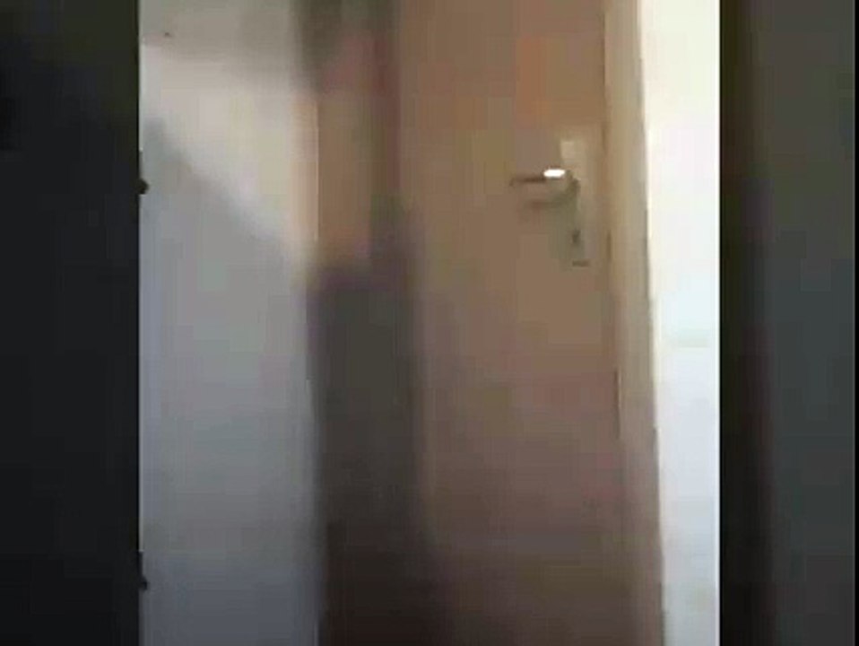 Smart Cat