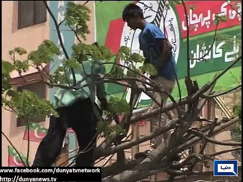 Dunya News - Karachi: Trees cut off for PTI tsunami