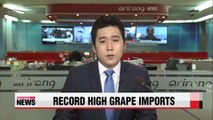 Korea's grape imports at record high, with more than 80% of grapes from Chile