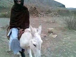 Say something about this video