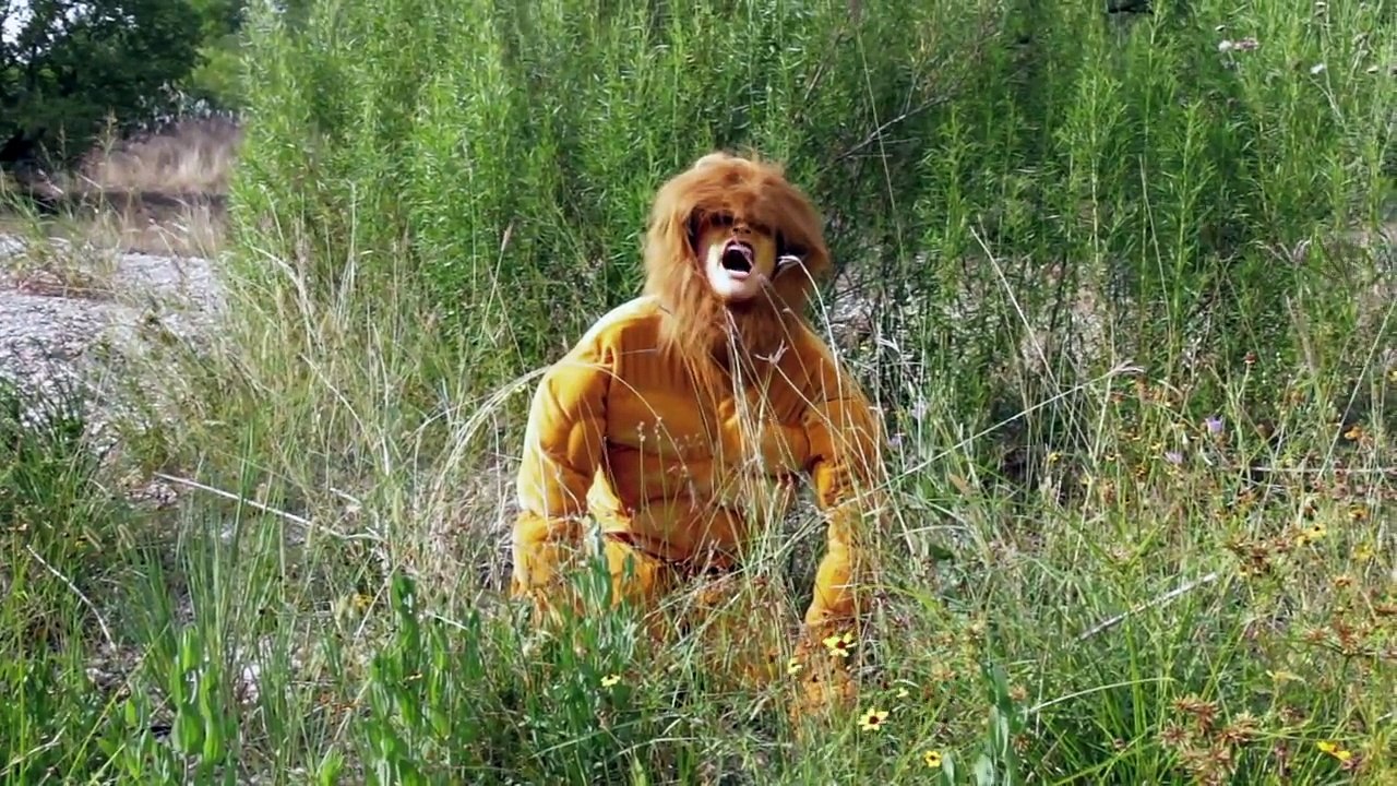 "Lion Tail" by Robert Benfer