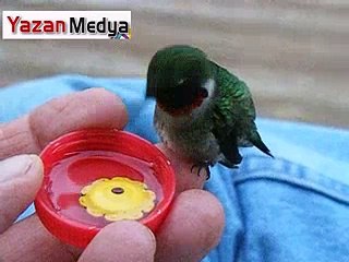 VARMI BÖYLE BİR GÜZELLİK!