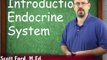 Endocrine System : Introduction to the Endocrine System (12:01)