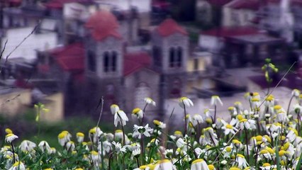 بلدة ديستومو اليونانية الصغيرة لا تزال تنتظر الاعتذار الالماني