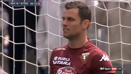 Sassuolo 1-1 Torino All Goals and Full Highlights Serie A 19.04.2015 HD