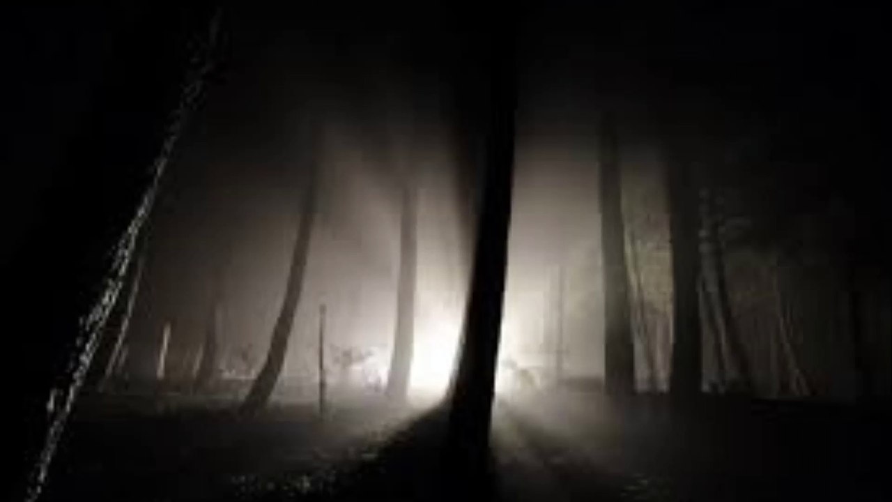 Mirabilis - In The Dark