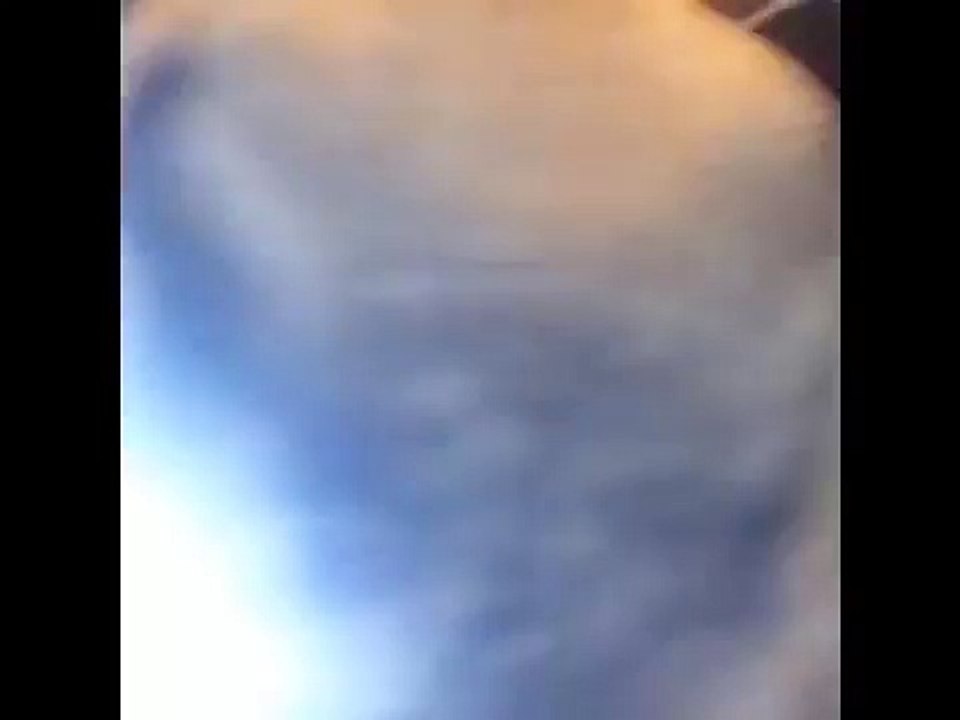 Il prend un selfie avec un cheval et voici ce que le cheval lui fait...