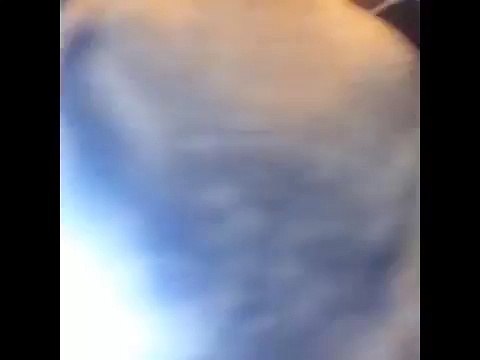 Il prend un selfie avec un cheval et voici ce que le cheval lui fait...