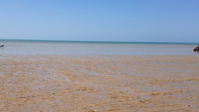 Jour de courses sur l'hippodrome marin