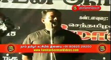 Seeman 20150416 Speech at Protest for Encounter of 20 Tamils by Andhra Police (YouTube Version)