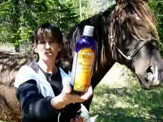 Mane Care for Your Curly Horse