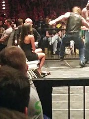 Dean Ambrose vs. Luke Harper, WWE Live in Hamburg, Germany, April 15th, 2015 Part 2