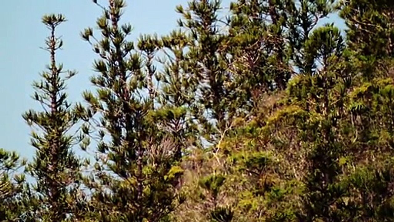 Walking With Dinosaurs: New Blood