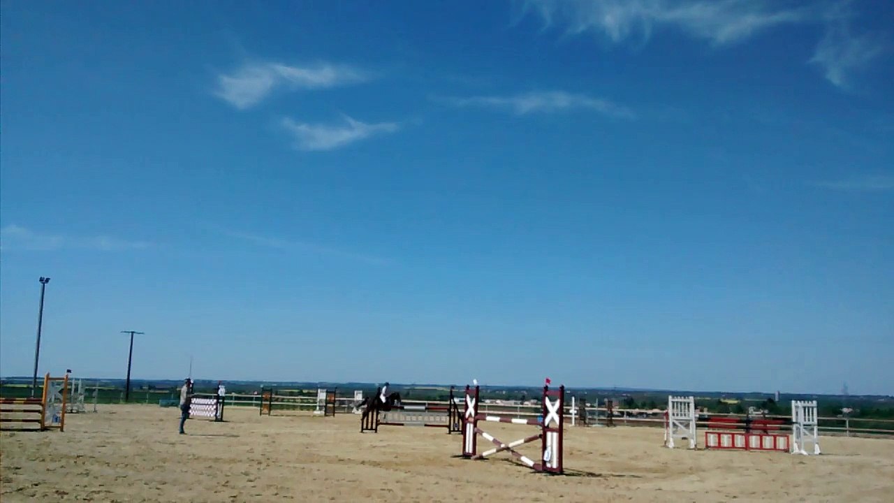 Blacky - CSO Bel Air - Poney E Elite - SF