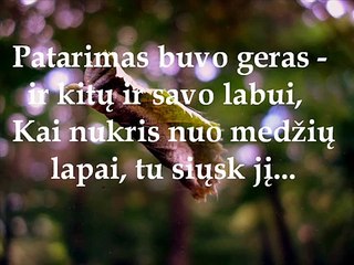 TNN - Toli toli, visa istorija (lyrics)