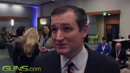 It's Not For Hunting - Look What Ted Cruz Just Said About 2nd Amendment