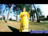 Pashto Film Wali Muhabbat Kawal Guna Da Hits Song Part6