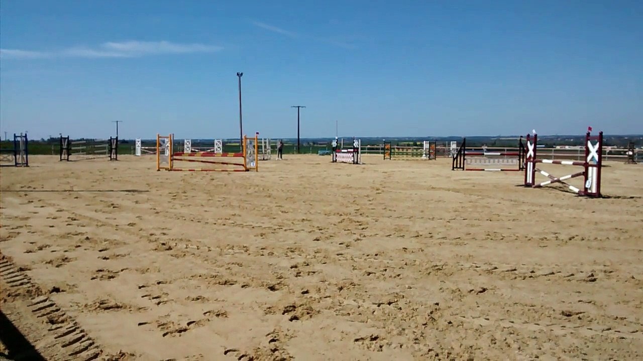 Blacky - Cso Bel Air - Poney E1 - SF