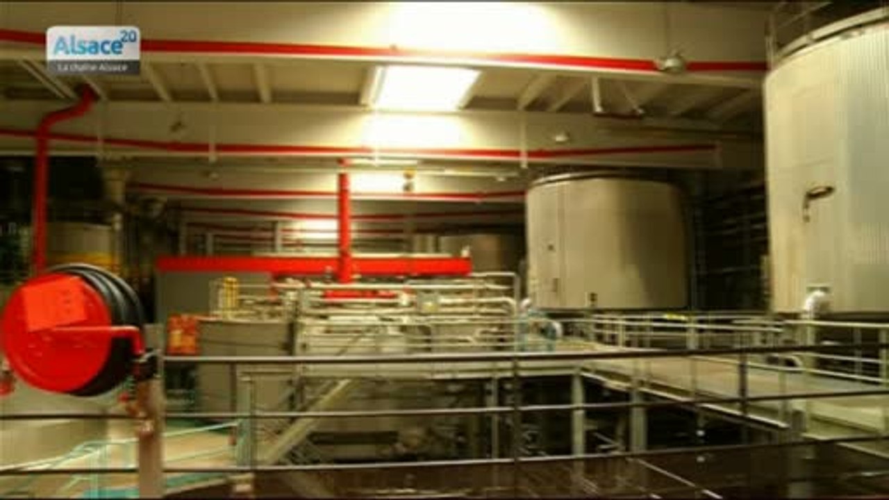 La Fondation Kronenbourg lance un appel à projets national