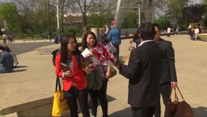 Belçika'da Hz. Muhammed'in Doğum Gününde Gül Dağıtıldı