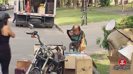 Drop Dead Bird Prank_
