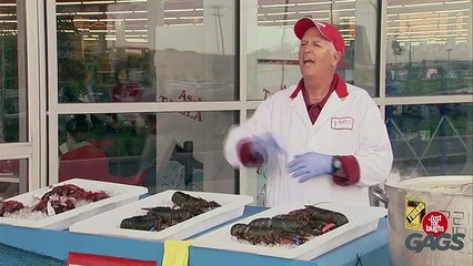 Lobster Leaps for Life_