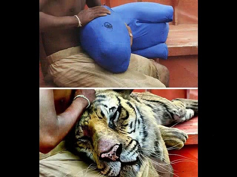 12 unbelievable visual effects....