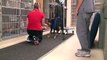 Paralyzed dog walks!