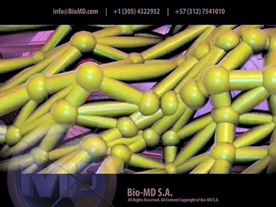 Extracellular Matrix : Extracell Matrix : Matrix Extracelular : Matriz Extracelular