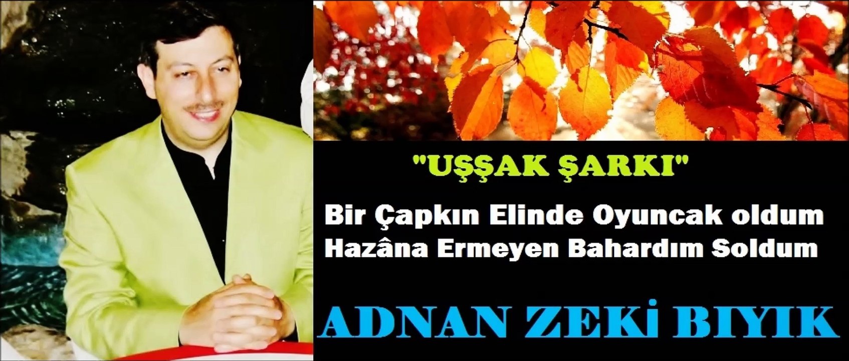 Bir Çapkın Elinde Oyuncak Oldum-Adnan Zeki Bıyık