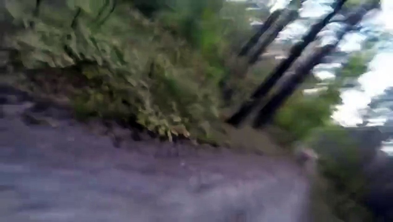 Bear Runs After Biker - Awesome !!! - Медведь Гонится за Байкером !