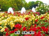 「神戸観光名所」  須磨離宮公園CMソング
