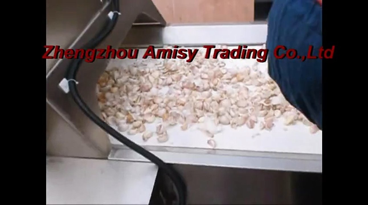 Garlic Processing Production Line - Garlic Bulb Separator, Garlic Peeler, Garlic Slicing Machine