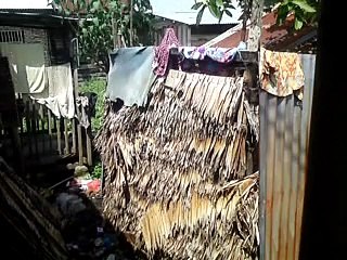 senja dibatas impian